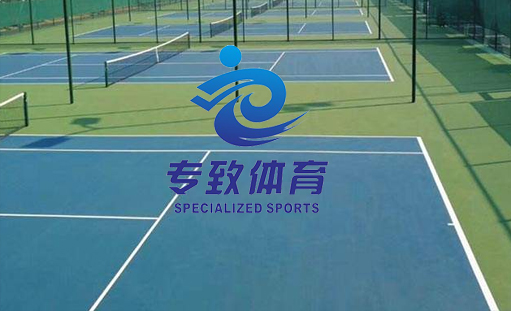 簽約重慶專致體育設(shè)施有限公司網(wǎng)站建設(shè)